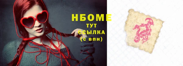 соль ск Каменка