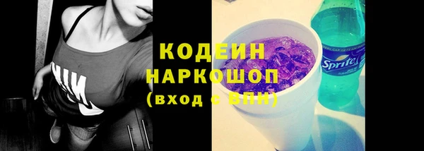 соль ск Каменка