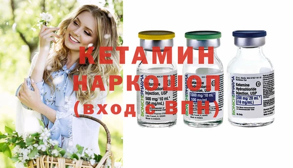 соль ск Каменка