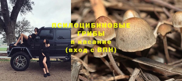соль ск Каменка
