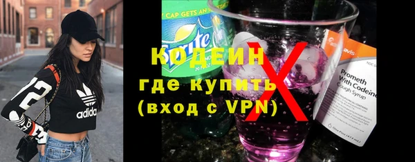 соль ск Каменка