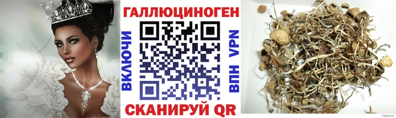 Галлюциногенные грибы MAGIC MUSHROOMS  Купить закладки  Черепаново 